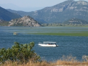 Czarnogóra - widok na Jezioro Shkoderskie 