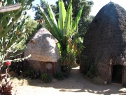 domy w kształcie słonia w plemieniu Dorze